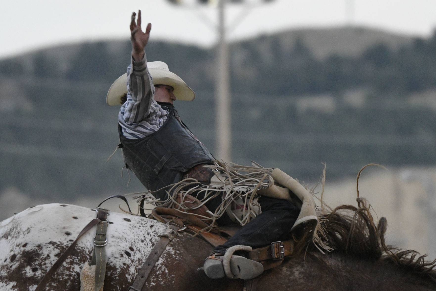 Rodeo
